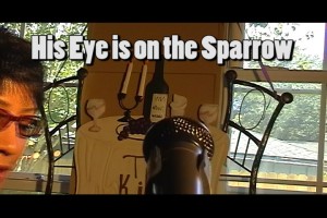 sparrowyes